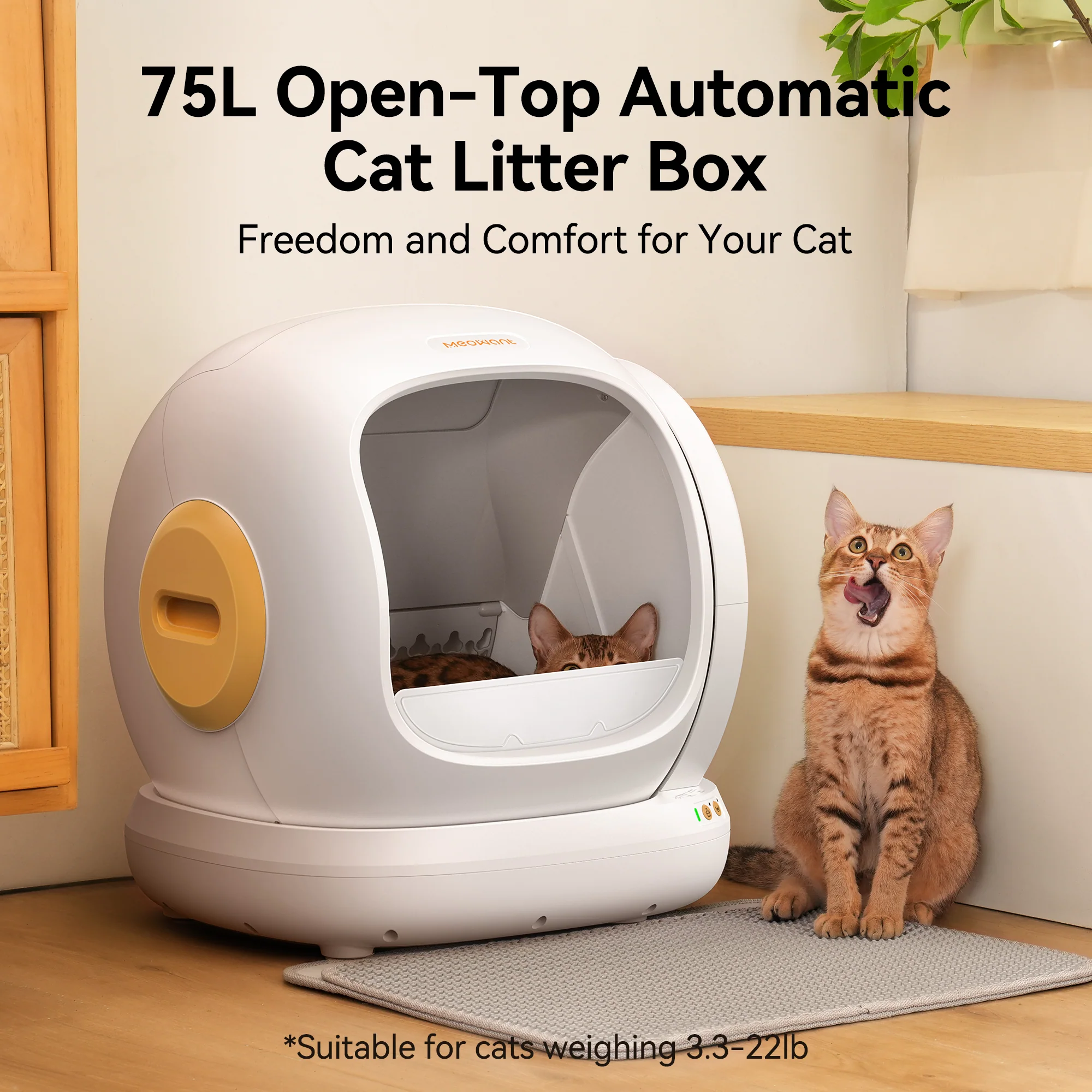 Self-Cleaning Cat Litter Box