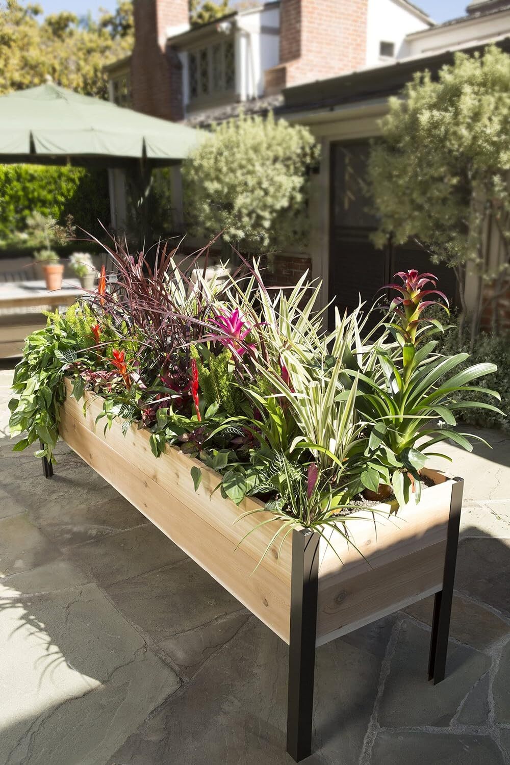 ✨✨- Garden Planting Box - Simple Gardening Made Easy to Assemble