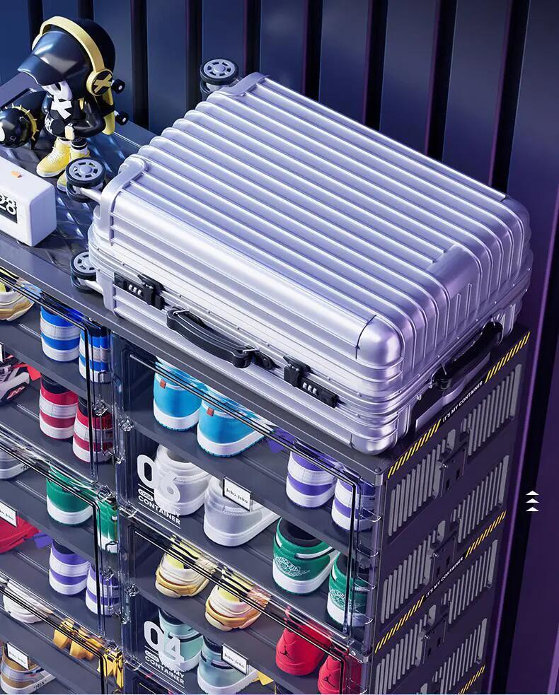 🥾Dust-Free Black Portable Shoe Organizer🎁