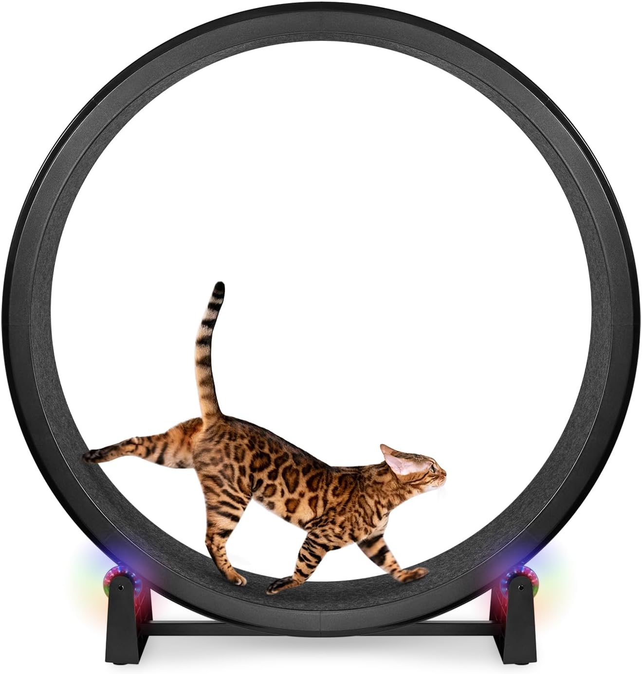 Cat Exercise Wheel  - Safe 48